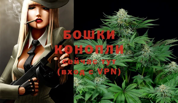 apvp Дмитров