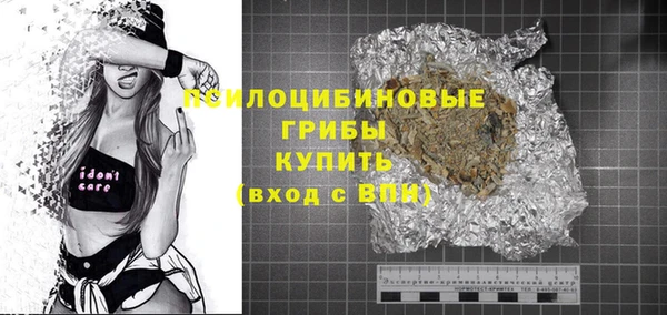 apvp Дмитров