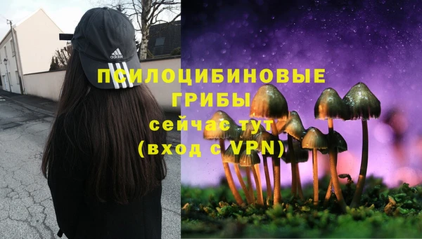 марки nbome Дмитровск