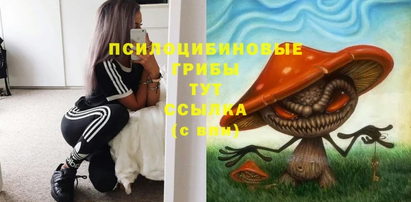 ALPHA PVP Дмитриев