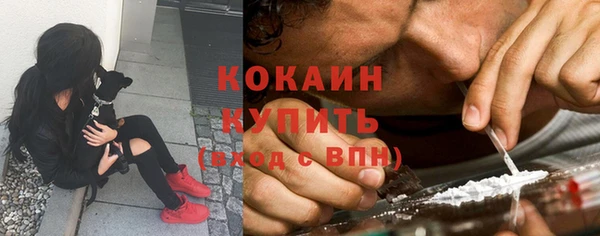 apvp Дмитров