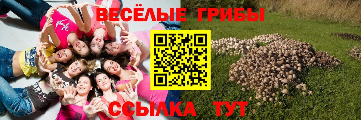 Псилоцибиновые грибы мухоморы Зеленокумск