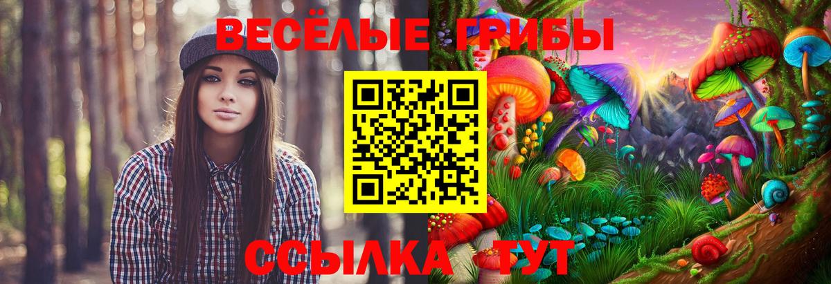 Галлюциногенные грибы мухоморы  Вход с VPN  Галлюциногенные грибы Psilocybe  Зеленокумск 